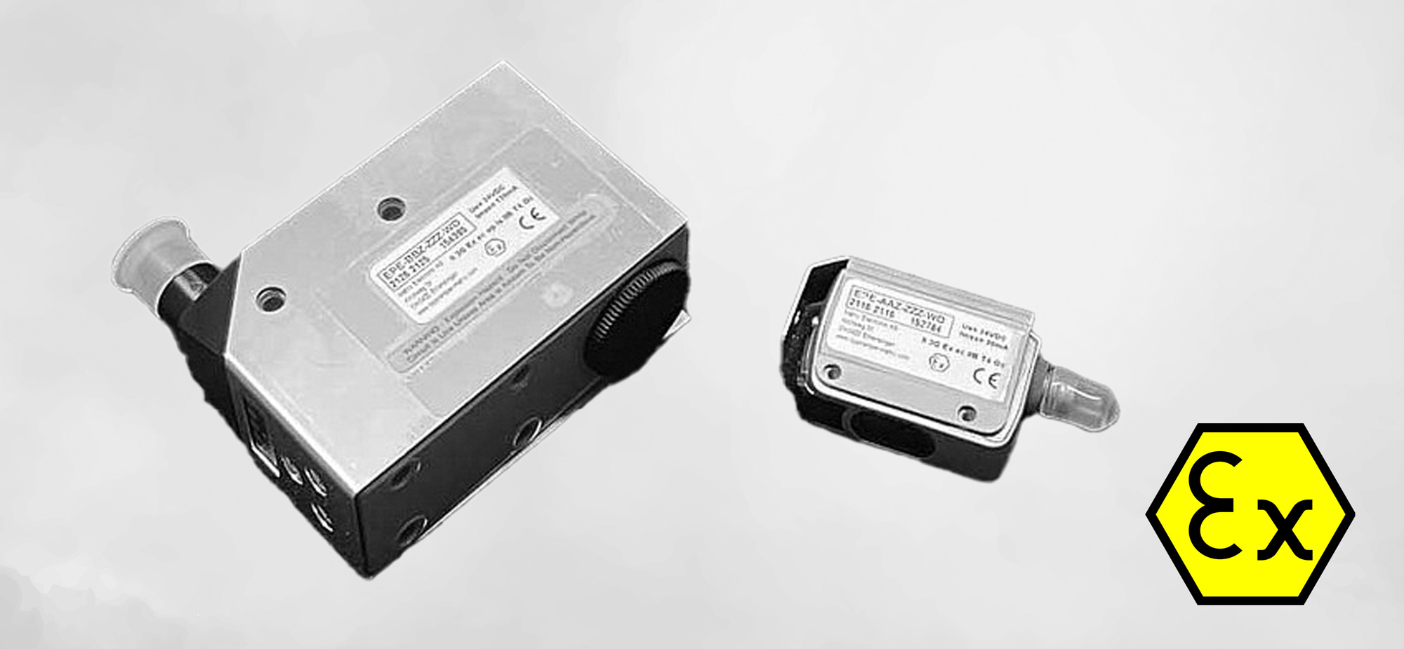 Spezielle Sensoren EX-geschützt